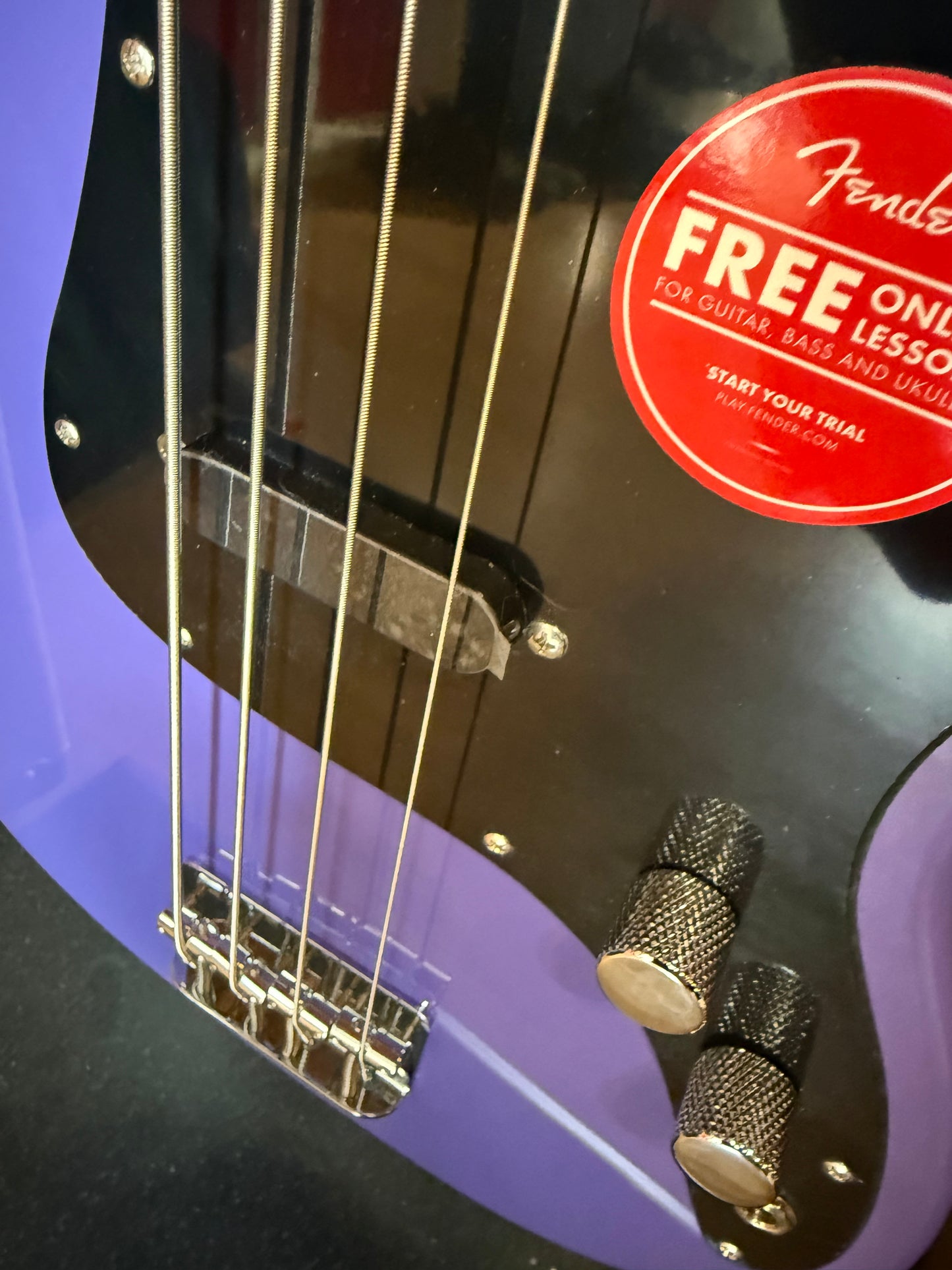 One of a kind Purple Fretless Glass Bass